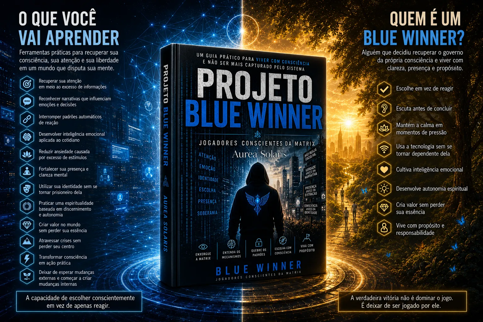Sobre o Livro